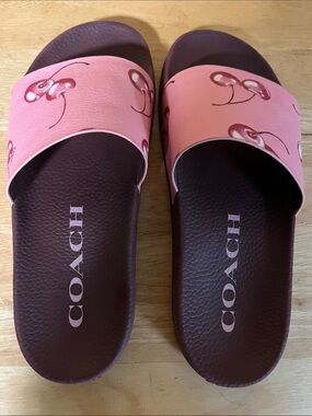 Pink Cherry Coach Sports Slide